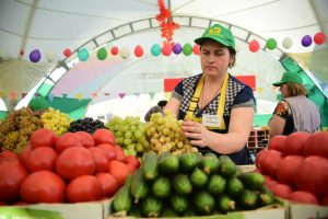 Фото: Антон Гердо, "Вечерняя Москва"