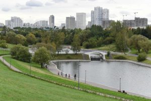 Фото: Владимир Новиков, "Вечерняя Москва"