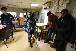 Фото: "Вечерняя Москва"