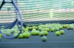 Сотрудники школы №2054 рассказали о реализуемой в учреждении секции большого тенниса. Фото: pixabay.com