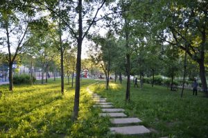 Музыкальный сад и фитнес-станция появятся в парке «Новослободский». Фото: Анна Быкова, «Вечерняя Москва»
