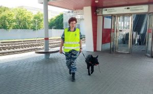 Специально обученные собаки помогут следить за порядком в московским метро. Фото: официальный сайт мэра и Правительства Москвы