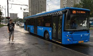 Маршруты нескольких автобусов в районе изменятся. Фото: Анна Быкова