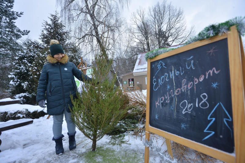 Елочные базары в москве на карте