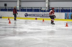 Турнир по хоккею состоится в районе. Фото: Пелагия Замятина, «Вечерняя Москва»