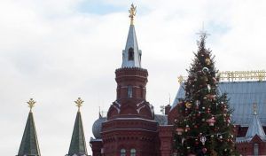 Вековую ель срубят для установки на Соборной площади. Фото: официальный сайт мэра Москвы