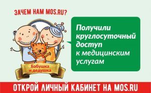 На сайте мэра Москвы жители столицы смогут записать своего питомца на прием к ветеринару