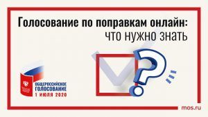 Анонимность и безопасность гарантируют при электронном голосовании по поправкам в Конституцию России