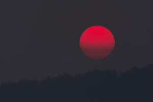 Московский планетарий приглашает горожан на онлайн-просмотр солнечного затмения. Фото: pixabay.com