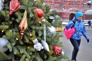 Фотовыставку «Москва новогодняя» открыли на бульваре в районе. Фото: Анна Быкова