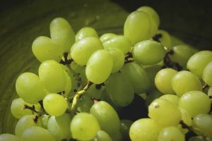 Виноград плодоносит в парке «Зарядье». Фото: pixabay.com