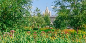 Парк «Зарядье» украсили различными растениями. Фото: сайт мэра Москвы