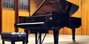 Концерт фортепианной музыки пройдет в библиотеке искусств. Фото: сайт мэра Москвы 