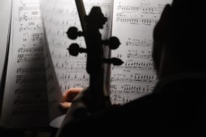 Концерт виолончельной музыки пройдет в библиотеке имени Боголюбова. Фото: Александр Кожохин, «Вечерняя Москва»
