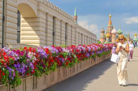 Новые площадки в районе открылись в рамках фестиваля «Сады и цветы». Фото: пресс-служба Департамента торговли и услуг города Москвы