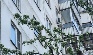 Жилые дома в районе проверили на безопасность. Фото: Алина Моисеенко, «Вечерняя Москва»