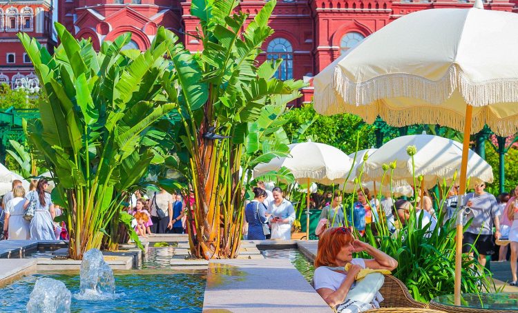 «Сады и цветы»: флагманские площадки фестиваля открылись в районе. Фото: пресс-служба Департамента торговли и услуг города Москвы