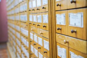 На основе фондов РГБИ подготовили новую выставку. Фото: Ксения Догонашева, «Вечерняя Москва»