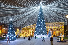 Праздничные ели появились в районе. Фото: пресс-служба Комплекса городского хозяйства Москвы