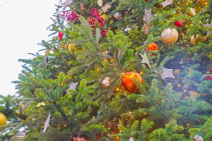 Главную ель района и всей Москвы украсили в Кремле. Фото: Ксения Догонашева, «Вечерняя Москва»