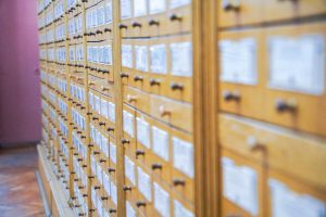 «Евсти-гений!»: выставка открылась в РГБИ. Фото: Ксения Догонашева, «Вечерняя Москва»