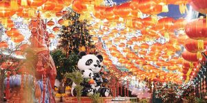 «Китайский Новый год» стартовал в районе. Фото: пресс-служба Комитета по туризму города Москвы