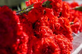 Возложение цветов провели в Александровском саду. Фото: Ксения Догонашева, «Вечерняя Москва»